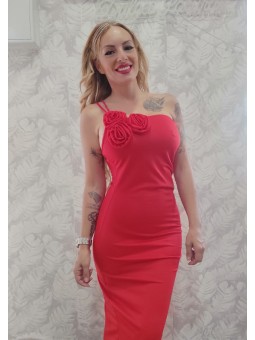 Vestido Carlota
